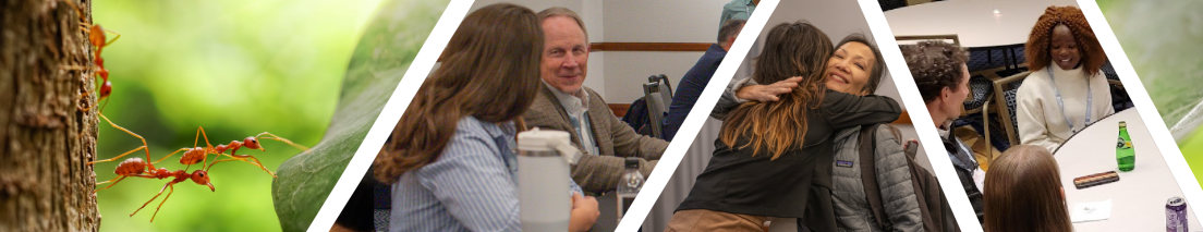 A collage shows ants climbing a tree on the left, followed by graduate students and postdocs in entomology talking, hugging, and sitting around tables at a career training event focused on leadership capacity and soft skills for professional advancement.